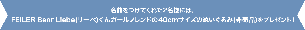 名前をつけてくれた7名様(計14名様)には、FEILER Bear Liebe(リーベ)くんガールフレンドの40cmサイズのぬいぐるみ(非売品)をプレゼント！