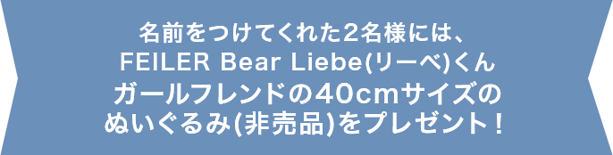 名前をつけてくれた7名様(計14名様)には、FEILER Bear Liebe(リーベ)くんガールフレンドの40cmサイズのぬいぐるみ(非売品)をプレゼント！