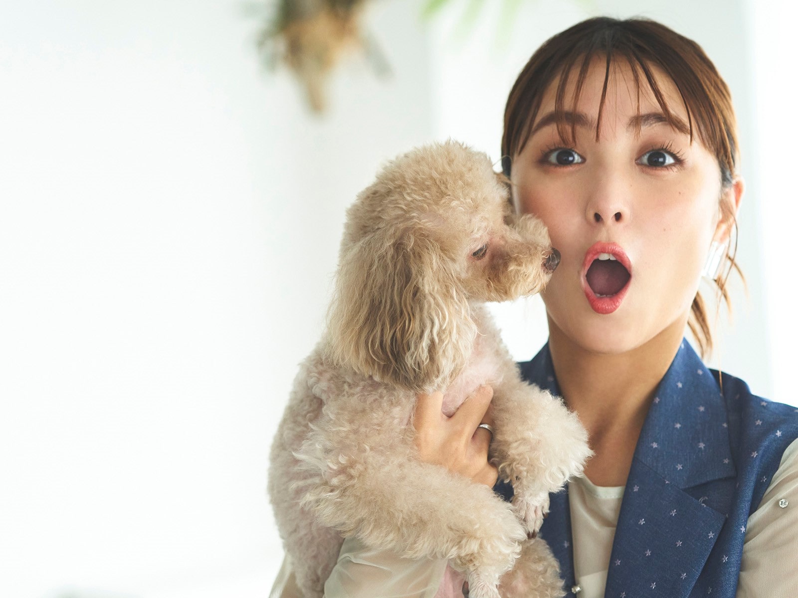 FEILER MAGAZINE 詳細 | フェイラー(FEILER)オフィシャルブランドサイト