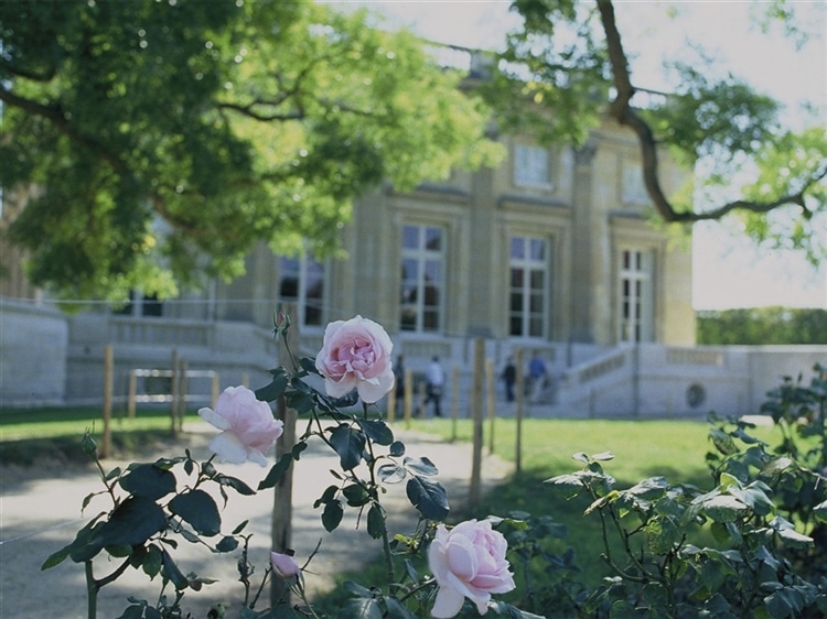 Feiler Magazine 詳細 フェイラー Feiler オフィシャルブランドサイト