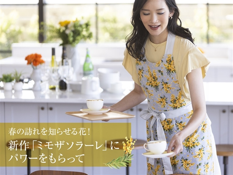 エプロン 未使用（フェイラー エプロン 未使用 タグ付き 妖しい） 